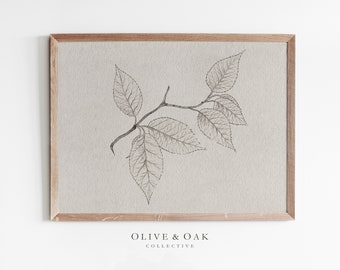 May include: A black and white line drawing of a branch with leaves. The drawing is on a beige background and framed in a light wood frame. The text "OLIVE & OAK COLLECTIVE" is printed below the drawing.