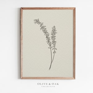 Vintage Botanical Drawing / Neutral Sketch / Simple Artwork PRINTABLE / #440