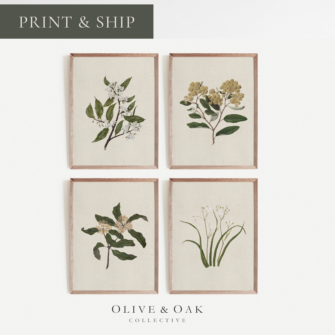 Botanical Wall Art SET of Four / Set of 4 Vintage Prints / Farmhouse ...