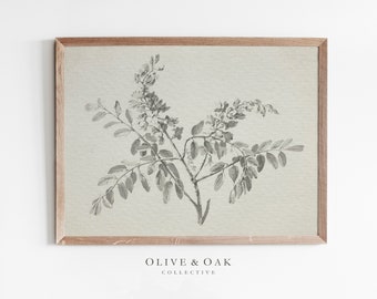 Vintage Botanische Skizze / Antike Zweigzeichnung DRUCKBAR / Rustikaler Kunstdruck / #278