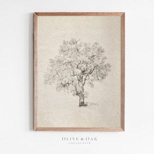 May include: A black and white line drawing of a tree with branches and leaves. The drawing is on a beige background and framed in a light wood frame. The text "OLIVE & OAK COLLECTIVE" is printed below the frame.