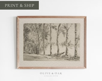 Vintage Birch Tree Sketch / Antique Botanical Drawing / FRAMED Wall Art / Rustic Country Digital Art Print / #96-M