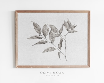 May include: A black and white line drawing of a branch with leaves and berries. The drawing is framed in a light wood frame. The text "OLIVE & OAK COLLECTIVE" is printed below the frame.