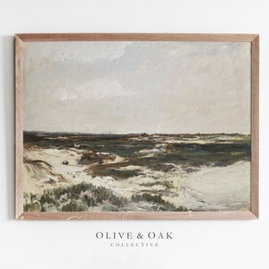 May include: A framed painting depicting a landscape with a sandy beach and green dunes under a cloudy sky.