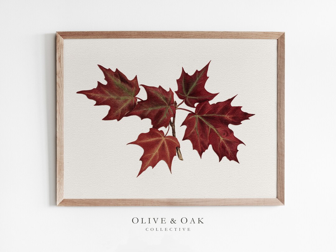 fall-leaves-art-print-autumn-wall-art-artwork-for-fall-decor