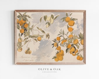 Farmhouse Kitchen Art Print / Vintage Botanical Lemon Painting / Digital PRINTABLE / #250