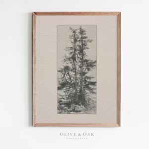 Vintage Tree Sketch Print / Minimalist Tree Etching PRINTABLE Neutral Decor / #186