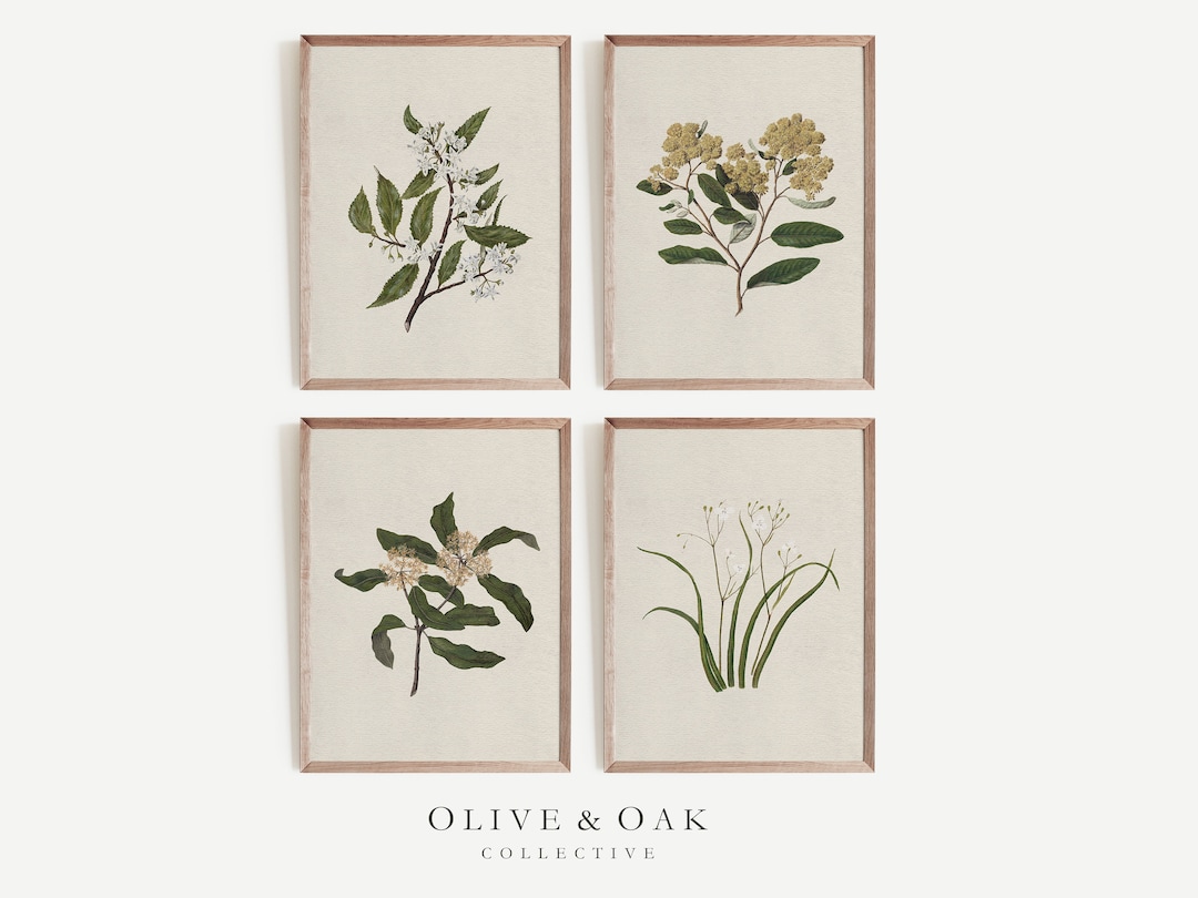 Botanical Wall Art SET of Four / Set of 4 Vintage Prints / Farmhouse ...