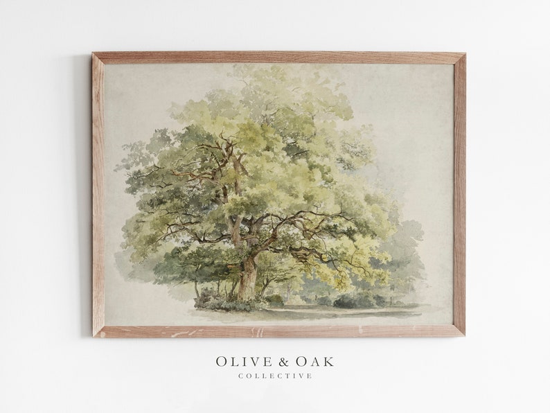 Vintage Oak Tree Drawing / Rustic Country Art Print Digital - Etsy