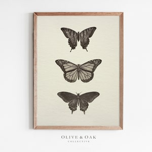 Vintage Neutral Butterfly Print / Antique Butterfly Drawing PRINTABLE / #208