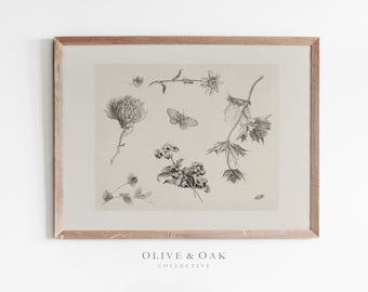 Rustic Flower Sketch / PRINTABLE Antique Botanical Drawing / Country Decor / #108