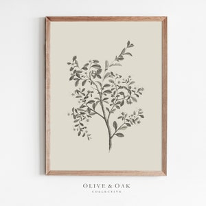 Botanical Wall Art / Simple Branch Drawing / Neutral Artwork PRINTABLE / Downloadable Flower Print / #485