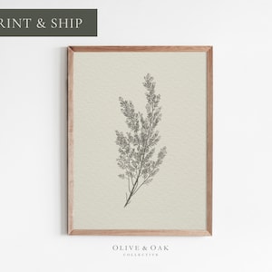 Rustic Botanical Print / Simple Neutral Artwork / Digital Printed or Framed / #444-M