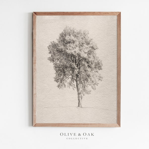 Antique Tree Drawing / Vintage Art Print / Farmhouse Decor Wall Art / Neutral Artwork PRINTABLE / #564