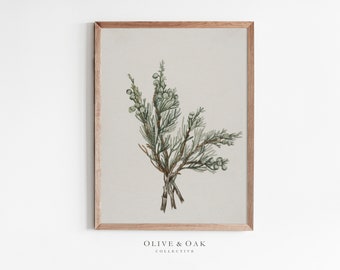 Vintage Sketch Art / Winter Branch Drawing / Nature Print Digital PRINTABLE / #93