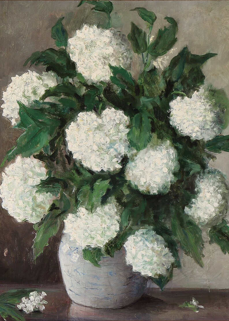 May include: A white ceramic vase with a blue and white pattern holds a bouquet of white hydrangeas with green leaves.