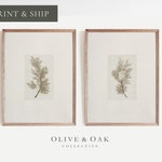 Tree Art Prints