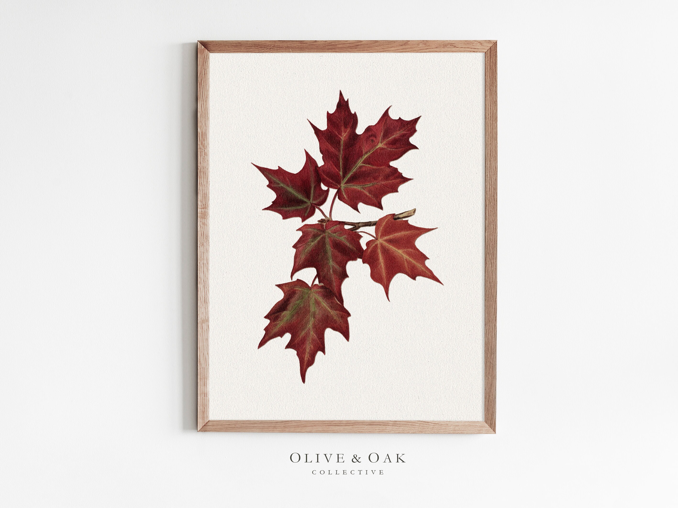 A beautiful retro to do old old maple leaves leaf branches wall art wa –  IDecoRoom