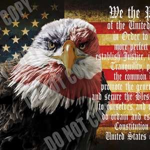 Abstract US Patriotic We The People Eagle 2nd Amendment Constitution Collage PNG/JPEG Digital Instant Sublimation Print