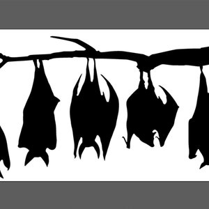 Bats Hanging around svg file