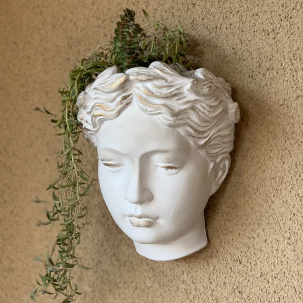 Macetero de flores de pared con cabeza de estatua femenina de diosa griega para decoración del hogar y el jardín, macetero colgante con cara de Venus romana (tamaño grande)