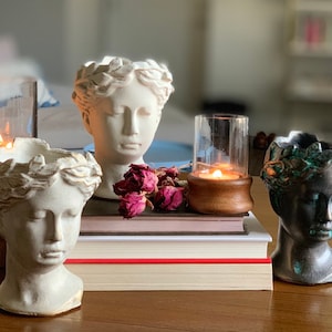 Greek Goddess Female Statue Head Concrete Flower Planter For Home and Garden Decoration Roman Venus (Medium Size) Christmas Gift