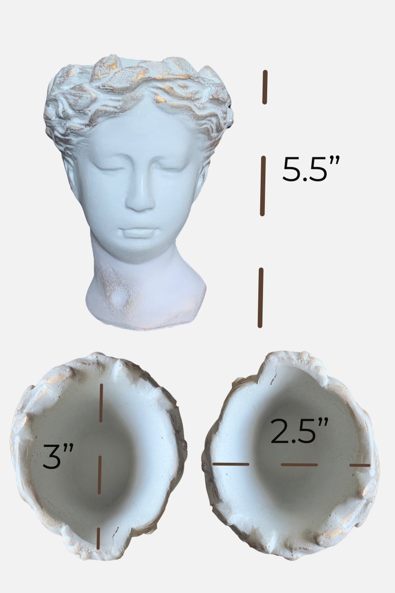 Greek Goddess Female Statue Head Concrete Flower Planter for Etsy
