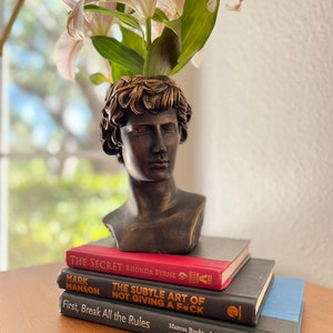 Roman Centurion Head Bust Planter - Majestic Home and Garden Decor , Man Face Pot