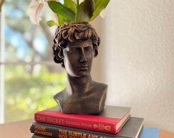 Roman Centurion Head Bust Planter - Majestic Home and Garden Decor , Man Face Pot