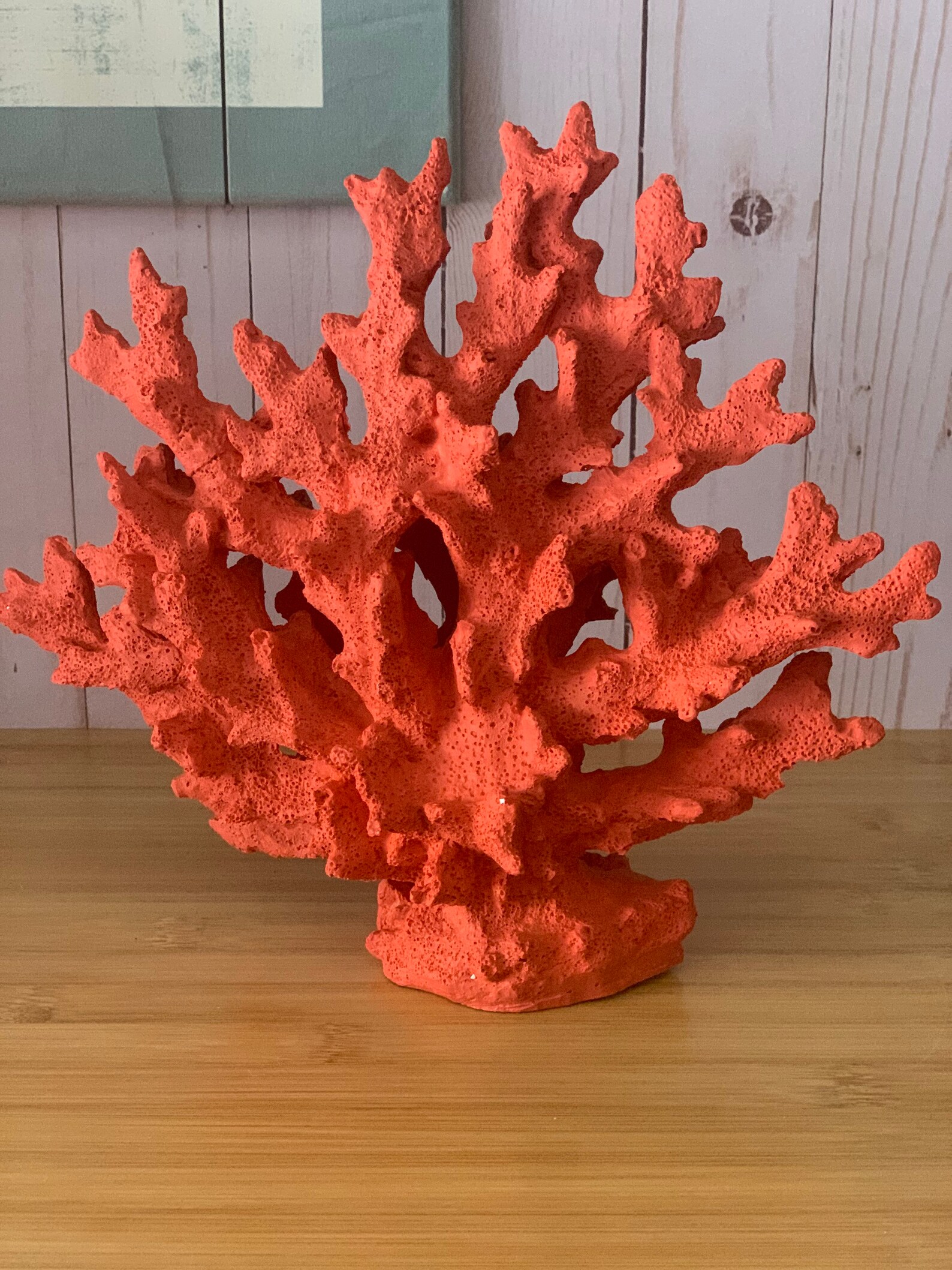 Decorative Coral Moss Decorative Coral Beach Themednew Home Etsy