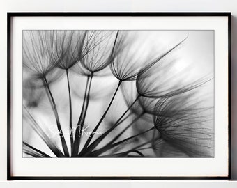 Art print goatee - fine art print 20 x 30 cm - poster A4 - black and white photography