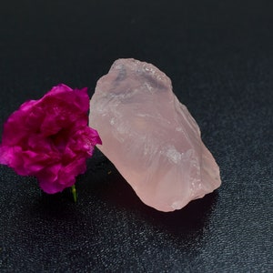 May include: A raw, translucent pale pink rose quartz crystal with an irregular, jagged shape positioned next to a vibrant, deep magenta flower with multiple ruffled petals, showcasing a contrast between the stone and the organic bloom.