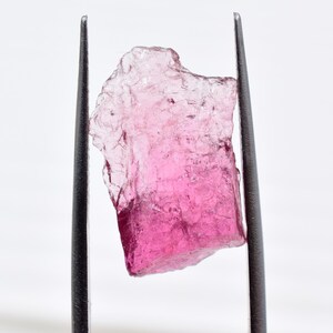 May include: A raw, pink tourmaline gemstone is held by metal tweezers against a white backdrop. The gemstone's colour shifts from a lighter pink at the top to a deeper, more saturated pink at the bottom. The stone has a crystalline structure.