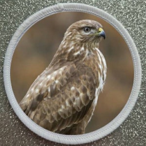 3 Inch Falcon patch badge