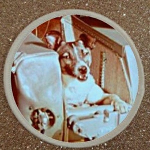 Pode incluir: Um cão castanho e branco vestindo um macacão branco está sentado numa nave espacial. O cão está a olhar para a câmara com a boca aberta.