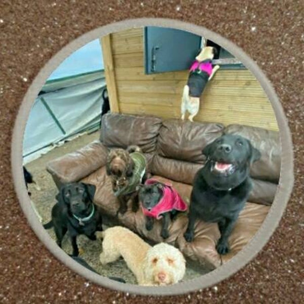 3 inch Doggy Day Care Love Dogs Patch Badge