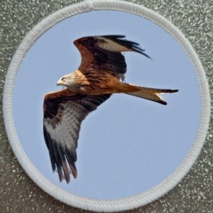 3 inch Red Kite Bird patch badge