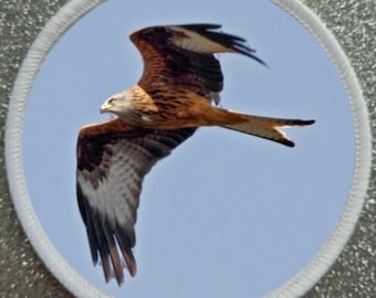 3 inch Red Kite Bird patch badge