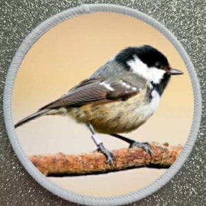 3 inch CoalTit Bird patch badge