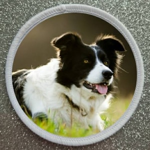 3 Inch Border Collie Dog Patch Badge.