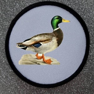 Op de afbeelding: Een ronde, zwart omrande patch met een witte achtergrond toont een gedetailleerde illustratie van een wilde eend met een groene kop en oranje poten. De eend staat op een rots.
