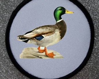 Badge patch Anatra da 3 pollici