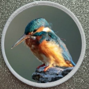 Op de afbeelding: Een close-up van een blauwe en oranje ijsvogel die op een tak zit. De vogel heeft een lange, puntige snavel en helderblauwe veren op zijn kop en rug. Zijn borst en buik zijn warm oranje van kleur.