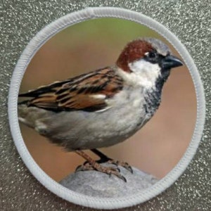 May include: Circular patch with a detailed image of a sparrow. The bird has brown, black, and grey feathers, a white face, and a dark beak. The patch is bordered with white stitching. The background is a soft, blurred brown.