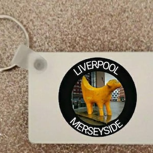 2.5 Inch Liverpool Key Ring Keyring Keychain
