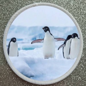May include: Four penguins standing on a snowy, icy surface. The penguins are black and white with long beaks. The background is a blurry white and blue.