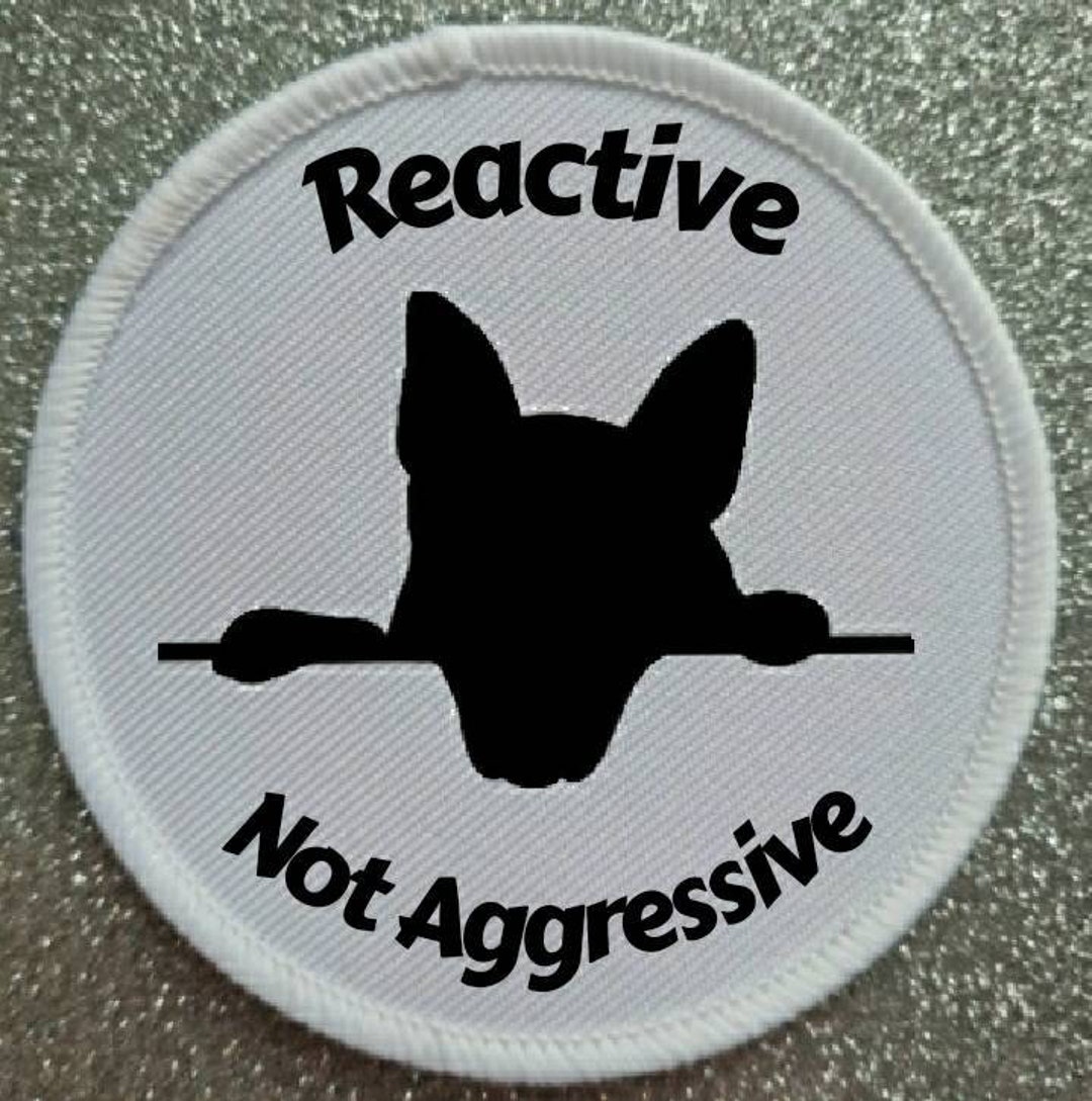 Reactive Dog Collar Harness Coat 3 Inch Patch Badge Etsy