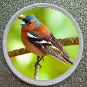May include: A circular patch showing a vibrant bird on a branch. The bird has a blue head, orange chest, and brown wings with white and black details. The patch is encircled by a white stitched border, set against a textured background.
