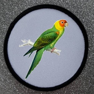 3 Inch Parrot patch badge