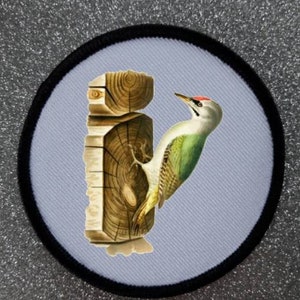 Op de afbeelding: Een groene en witte specht met een rode kroon zit op een houten boomstam. De vogel kijkt naar rechts en heeft zijn snavel open. De boomstam is bruin en heeft een ring van jaarringen eromheen.
